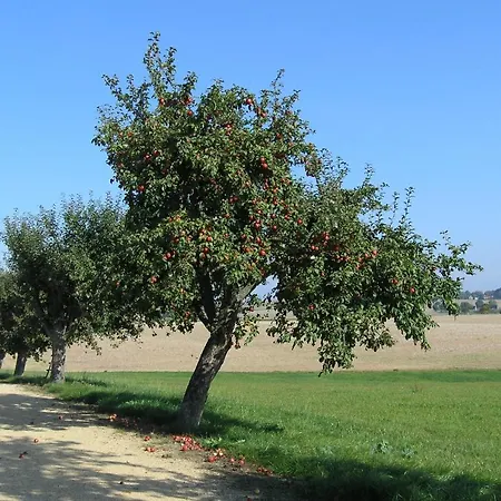 Muehlehof アパート