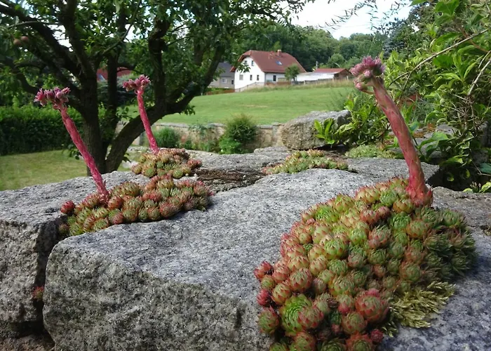 Muehlehof *